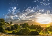 Co to znaczy distance learning? Co to znaczy distance learning?