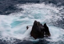 Gdzie sprawdzać ceny kryptowalut? Gdzie sprawdzać ceny kryptowalut?