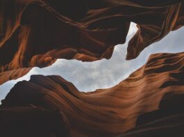 Jakie są formy państwa?