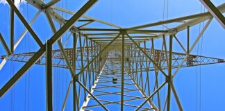 Jakie są podstawowe cechy zmiennej?