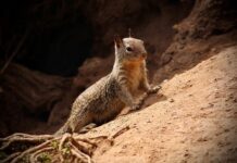 Co to jest zwinny łańcuch dostaw?