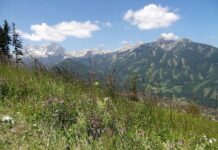 Kiedy będzie hossa na krypto?