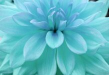 Jak określić nasycenie rynku?