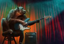 Jakie są etapy badań marketingowych?