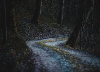 Co jest cechą ryzyka? Co jest cechą ryzyka?