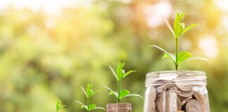 W co lepiej inwestować w akcje czy obligacje?