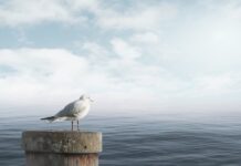 Jak uspokoić płaczące dziecko w przedszkolu?