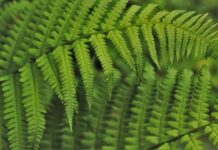 Jak dobrze wdrożyć pracownika?