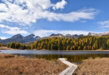 Ile wynosi wynagrodzenie za staż 2023? Ile wynosi wynagrodzenie za staż 2023?