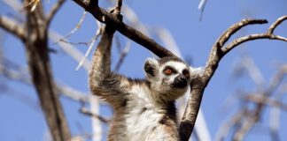 Co obejmuje zachowanie ryzyka? Co obejmuje zachowanie ryzyka?