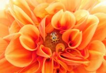 Co jest i może być istotą efektywnego zarządzania międzynarodowym łańcuchem dostaw?