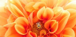 Co jest i może być istotą efektywnego zarządzania międzynarodowym łańcuchem dostaw?