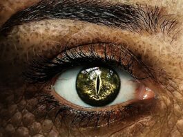 Jak oceniać ucznia z orzeczeniem? Jak oceniać ucznia z orzeczeniem?