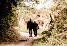 Ile wynosi emerytura bez lat pracy? Ile wynosi emerytura bez lat pracy?