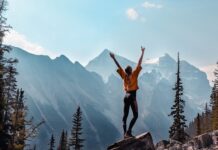 Co to jest program adaptacyjny?