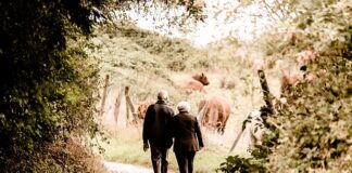 Jaka emerytura przy zarobkach 3000 brutto?