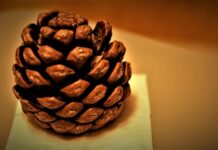 Jak działają gradientowe metody uczenia sieci neuronowych?