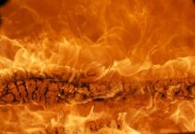 Jak stworzyć własną markę produktów?