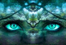 Czym jest tożsamość firmy?