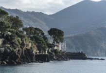 Ile kosztuje przygotowanie ankiety?