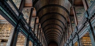 Czy uczelnią weryfikuje praktyki?