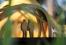 Co jest jednym z ważniejszych problemów adaptacyjnych?