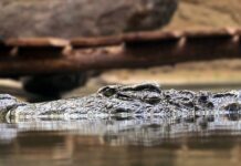 Na czym polega zasada bilansowa? Na czym polega zasada bilansowa?