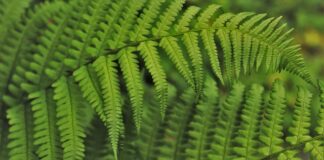 Jak wdrożyć nowego pracownika? Jak wdrożyć nowego pracownika?