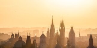 Jakie są cele badań marketingowych?