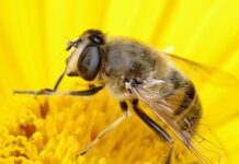 Czy istnieje wyraźny związek między przystosowaniem się dziecka do nowych warunków a wiekiem?