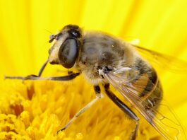 Czy istnieje wyraźny związek między przystosowaniem się dziecka do nowych warunków a wiekiem?