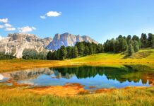 Jaki jest zakres badań marketingowych?