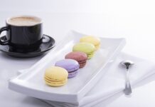 Co to są cechy adaptacyjne?