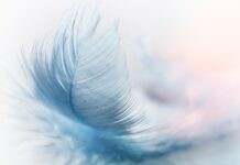 Ile kosztuje Platforma Edukacyjna? Ile kosztuje Platforma Edukacyjna?