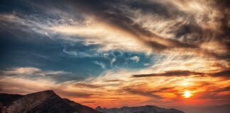 Ile godzin dziecko może być w żłobku?