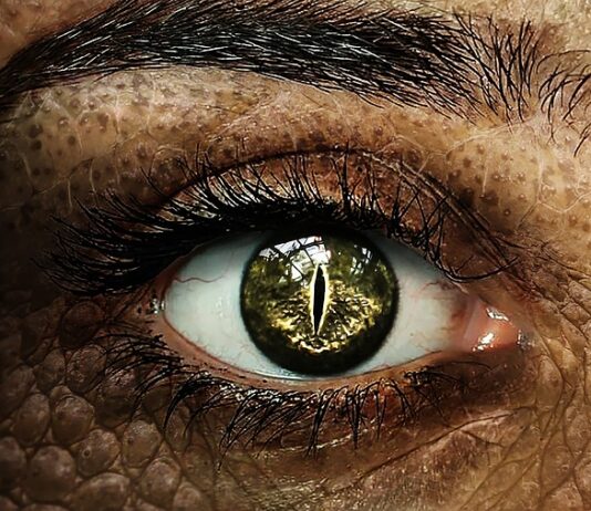 Jak wspomagać ucznia z orzeczeniem?