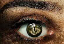 Ile szkoła dostaje na ucznia z orzeczeniem 2023?