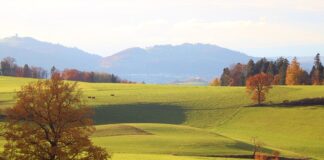 Ile to jest 10000 brutto na netto? Ile to jest 10000 brutto na netto?