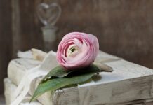 Czy zobowiązania to aktywa? Czy zobowiązania to aktywa?