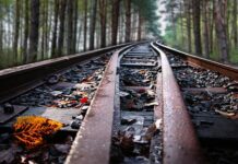 Czego nie wolno podawać w internecie?