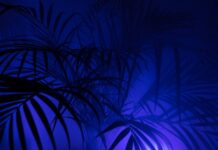 Co oznacza 4P w marketingu?